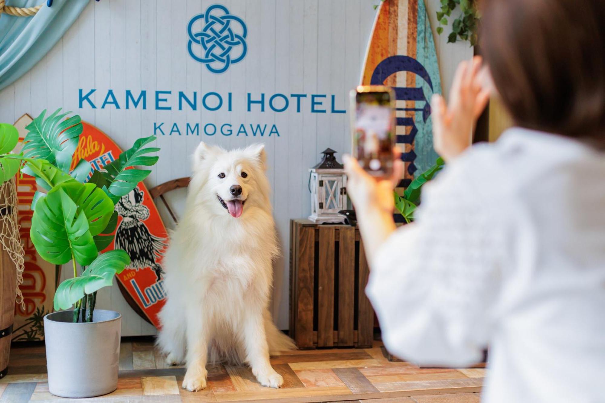 Kamenoi Hotel Kamogawa Luaran gambar